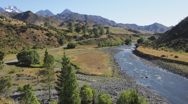 new-zealand-road